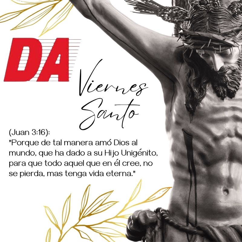 Imagen de actividad 3