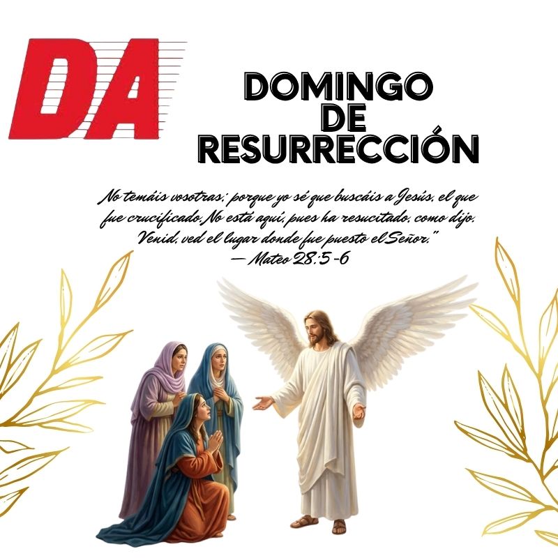 Imagen de actividad 3