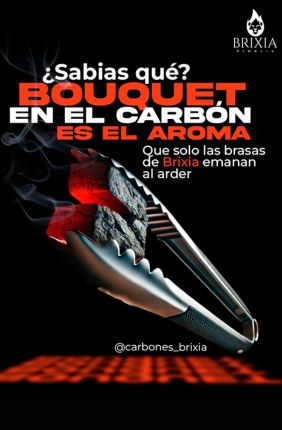 Carbon Vegetal Carbon Vegetal