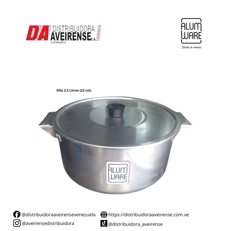 Olla 2,5 Litros (22 cm).