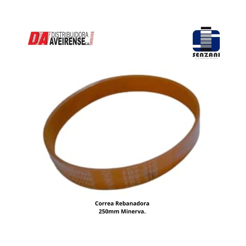 Correa para Rebanadora 250mm.MInerva TB 2.310  Megadyne